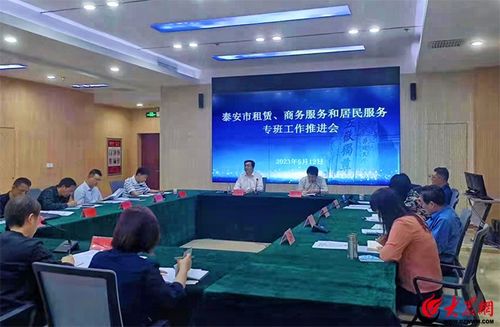 泰安市租賃、商務服務和居民服務專班工作推進會召開 聚焦軟件開發與應用