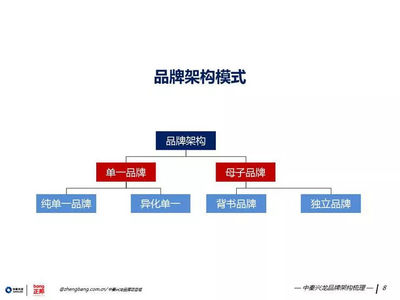 策世品牌觀 七日微光，照亮品牌管理之路